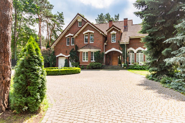 Best Residential Paver Driveway  in Davis Junction, IL