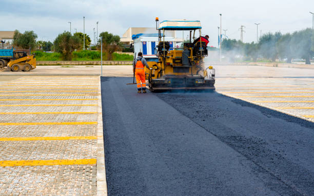 Best Custom Driveway Pavers  in Davis Junction, IL