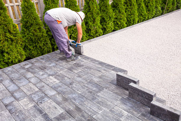 Best Interlocking Driveway Pavers  in Davis Junction, IL