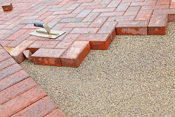 Best Local Driveway Pavers  in Davis Junction, IL