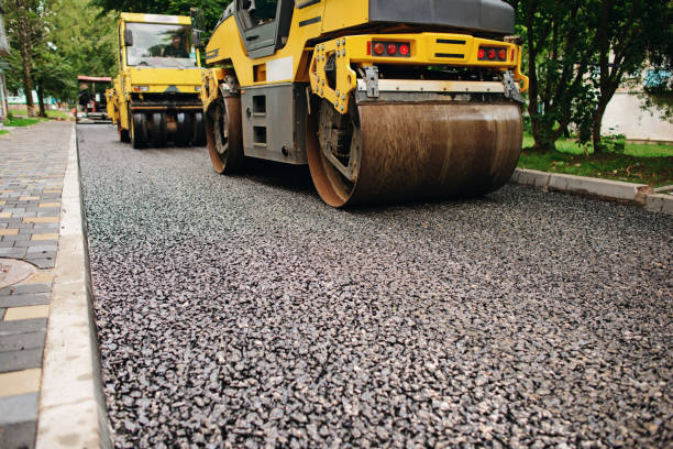 Best Driveway Paving Contractor  in Davis Junction, IL